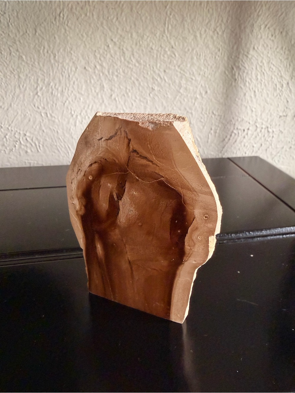 Petrified Palm Wood Fossil Polished Sculpture - Brown